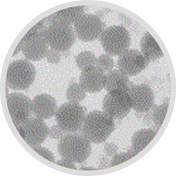 Colloidal silicate 3